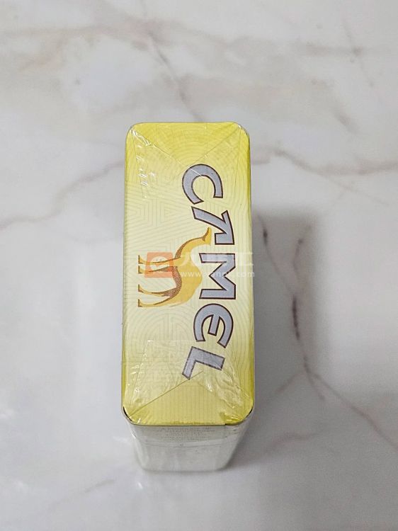 骆驼(硬黄欧盟版)