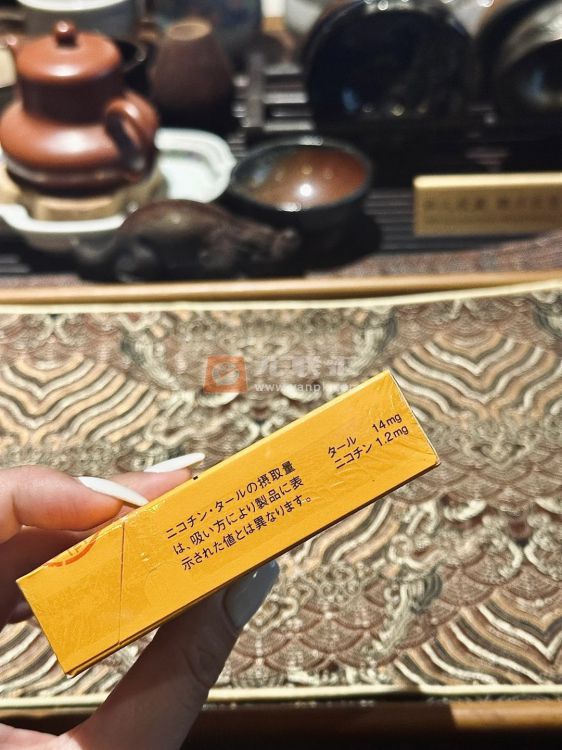 骆驼(CRAFT14mg日版)相册 106824_22076