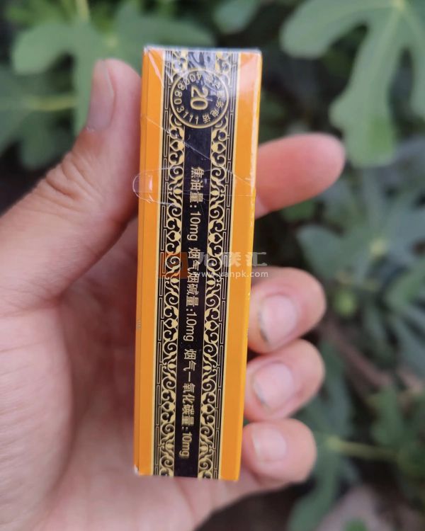 金圣(金吉)相册 95321_78601