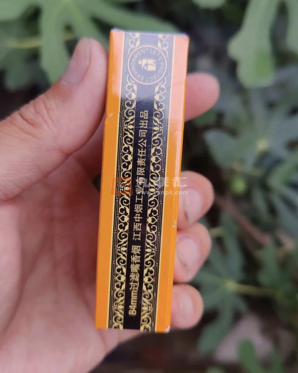 金圣(金吉)相册 95321_49399