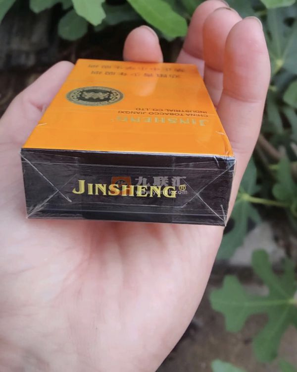 金圣(金吉)相册 95321_35246