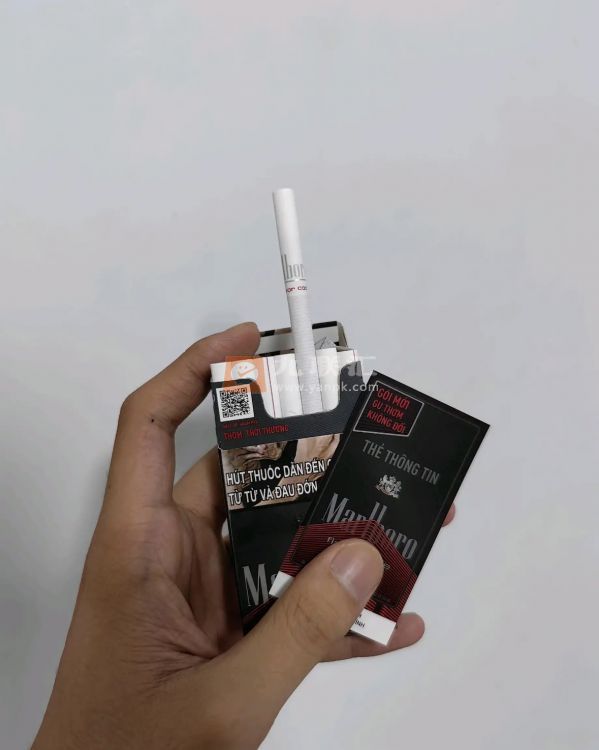 万宝路(黑醇中支越南版)