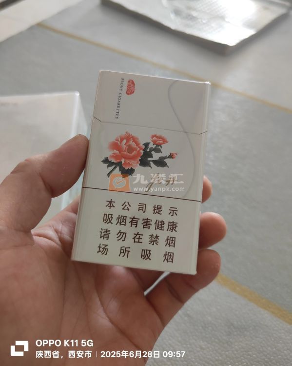 牡丹(真国色白)相册 93338_68345