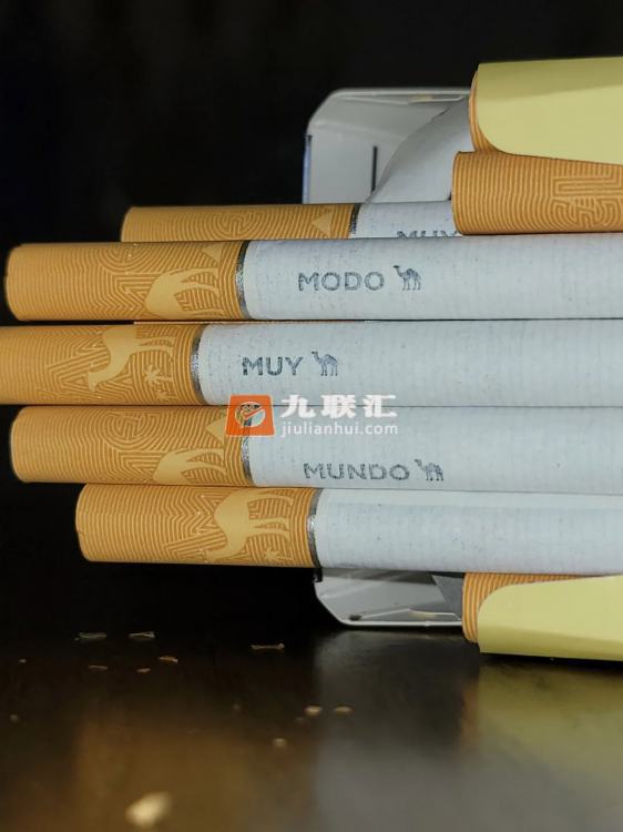 骆驼(硬黄西班牙版)相册 115179_20368