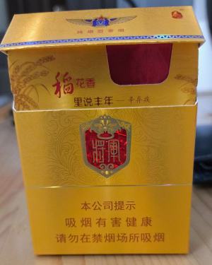 泰山(金将中支)相册 