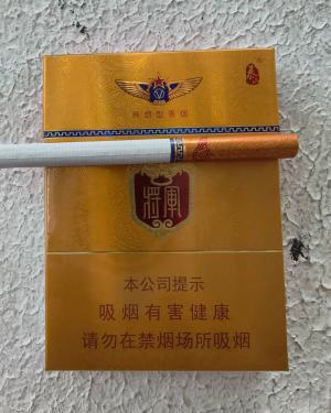 泰山(金将中支)相册 