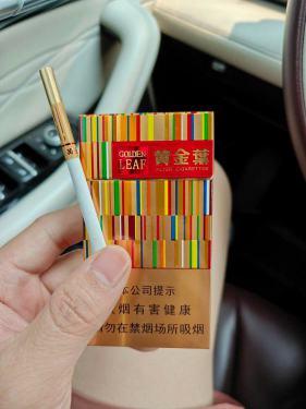 黄金叶(金炫尚)