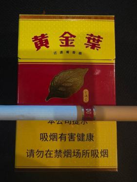 黄金叶(金满堂)相册 