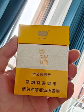 云烟(云端中支)