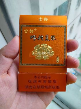 云烟(呼伦贝尔天之韵)