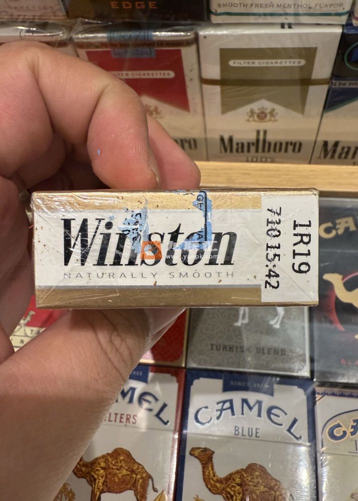 云斯顿(硬金100s)相册 115216_13405