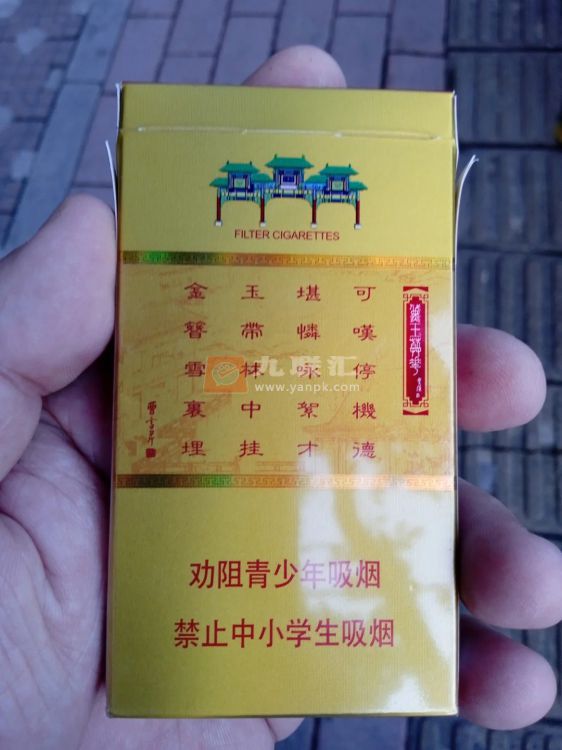 南京(金陵十二钗烤烟)相册 1107_58334