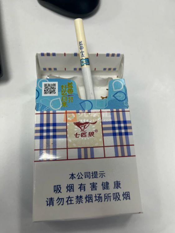 七匹狼(蓝带中支)相册 94104_28860