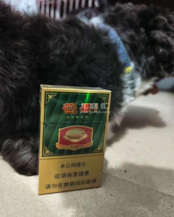 红旗渠(芒果)相册 93481_63157