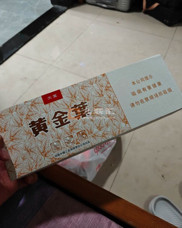 黄金叶(天叶)相册 290_94539