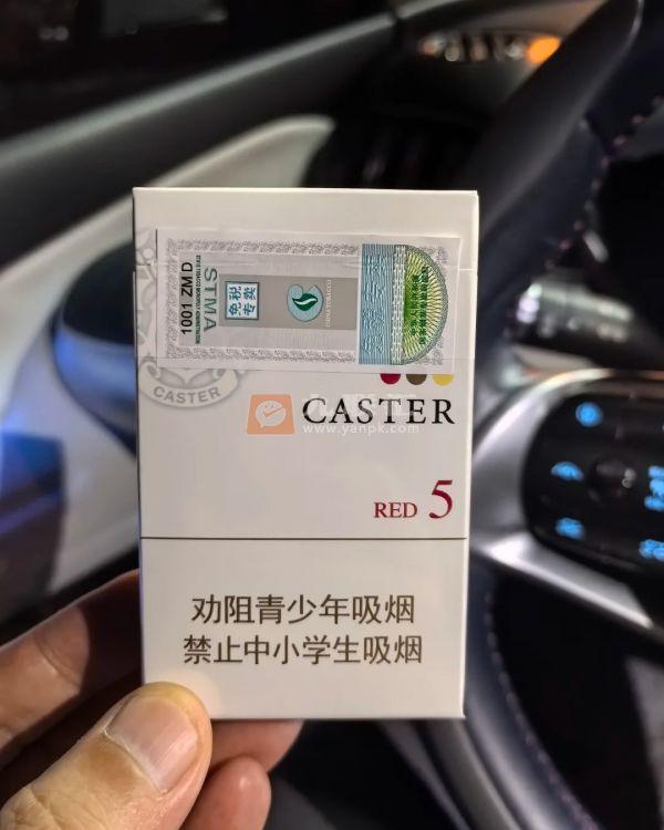 佳士达硬红相册 27105_85151