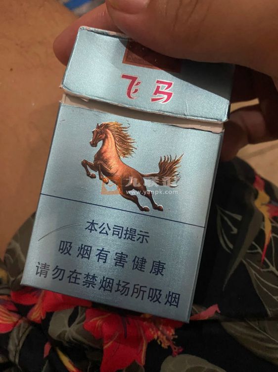 牡丹(飞马)相册 94910_75522