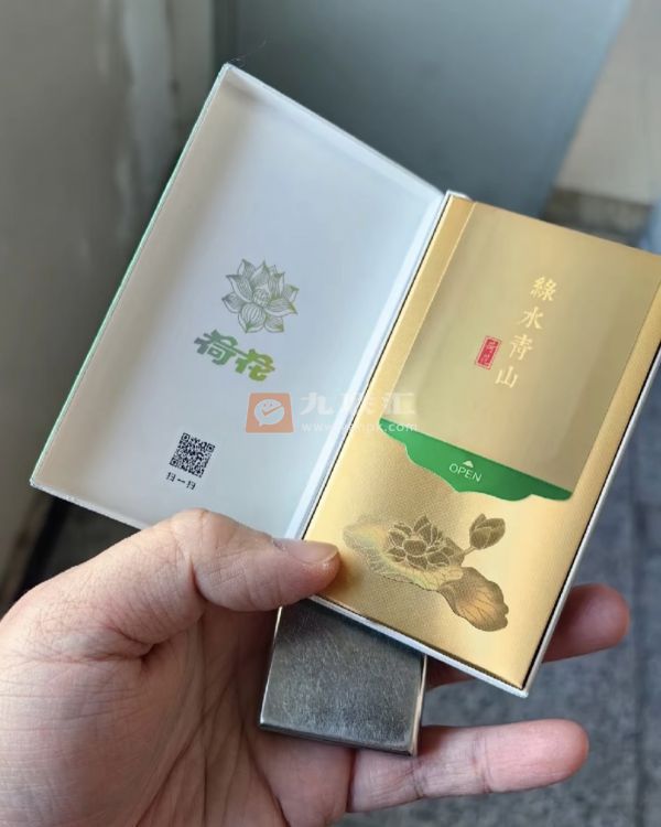 荷花绿水青山相册 93771_15726