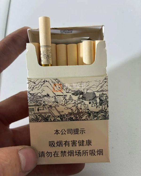 真龙起源.金花茶版相册 22556_79381
