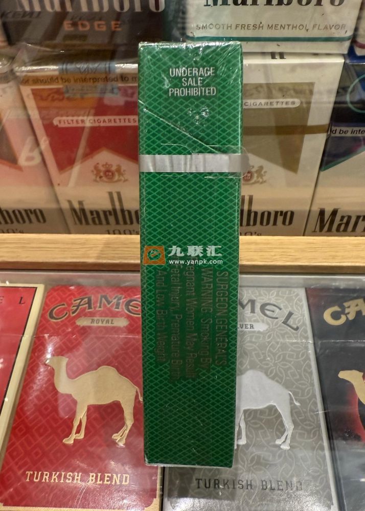 契斯特菲尔德(绿美税100S)相册 109967_31387