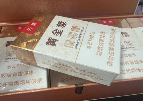 黄金叶(软天叶)