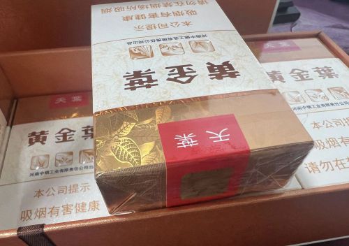 黄金叶(软天叶)