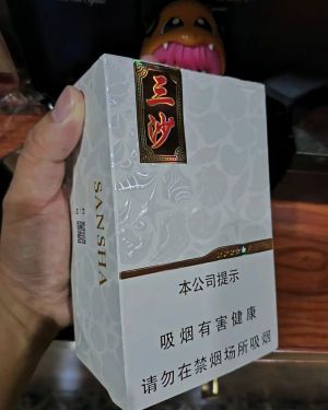 三沙(中支)