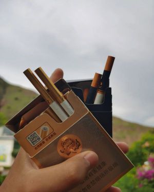 芙蓉王(硬中支)