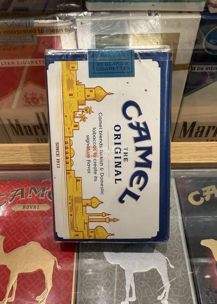 骆驼(软蓝美免版)相册 101310_68211