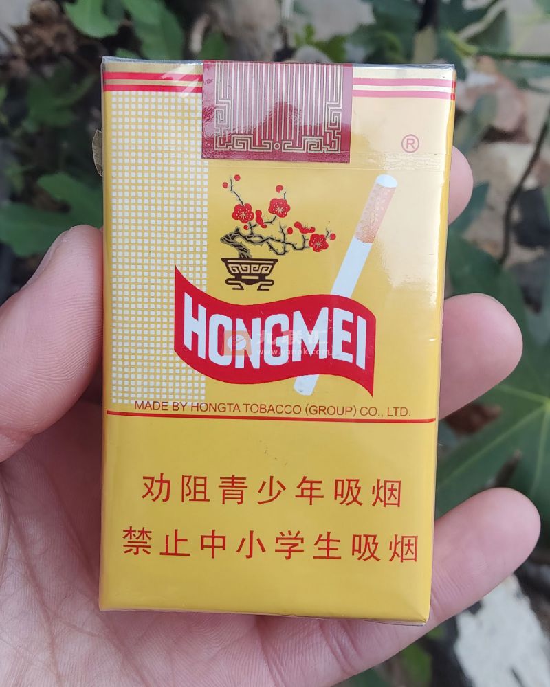 红梅(软黄)相册 333_99774