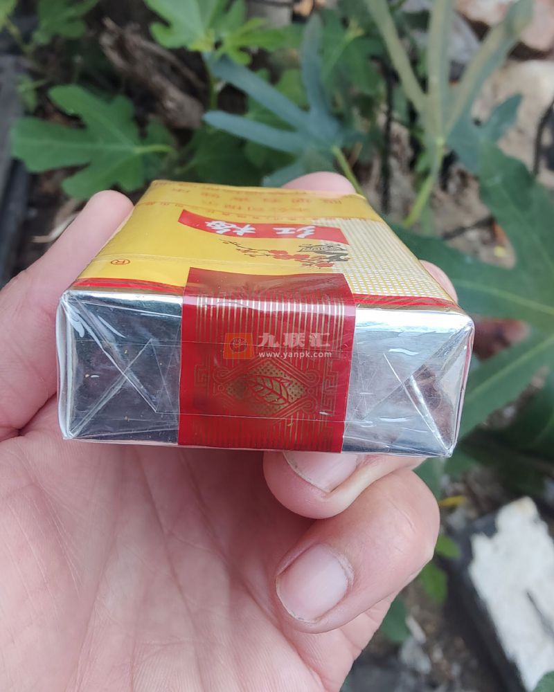 红梅(软黄)相册 333_42522