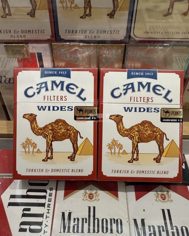 骆驼(硬黄宽版美税)相册 101504_15784