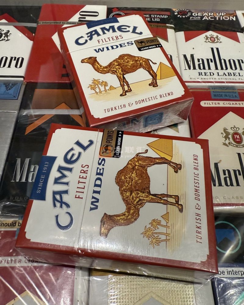 骆驼(硬黄宽版美税)相册 101504_81520