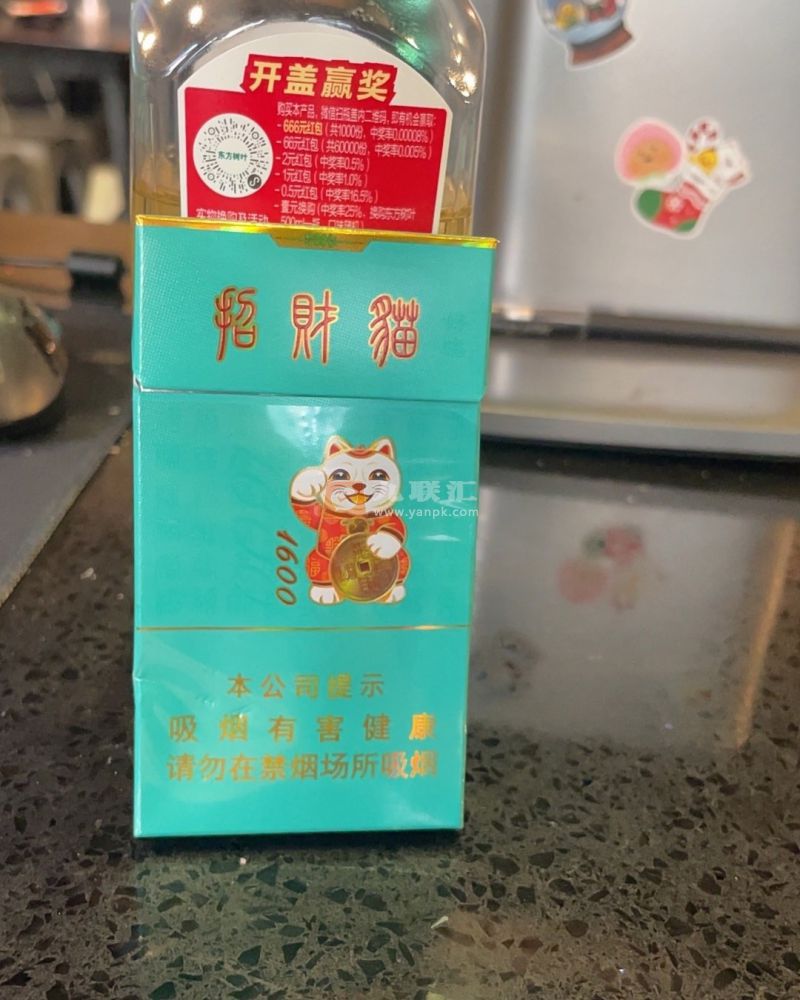 好猫(招财猫1600亲情版)相册 93462_33966