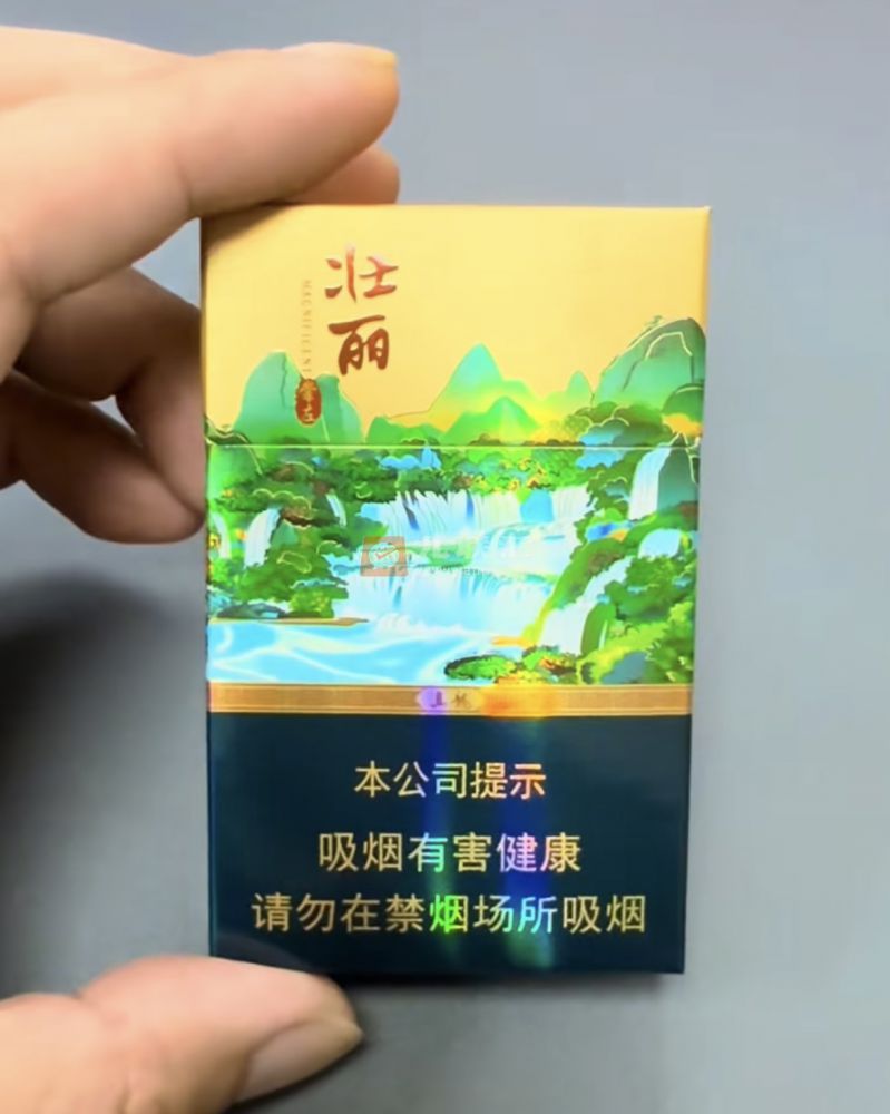 真龙(壮丽崇左)