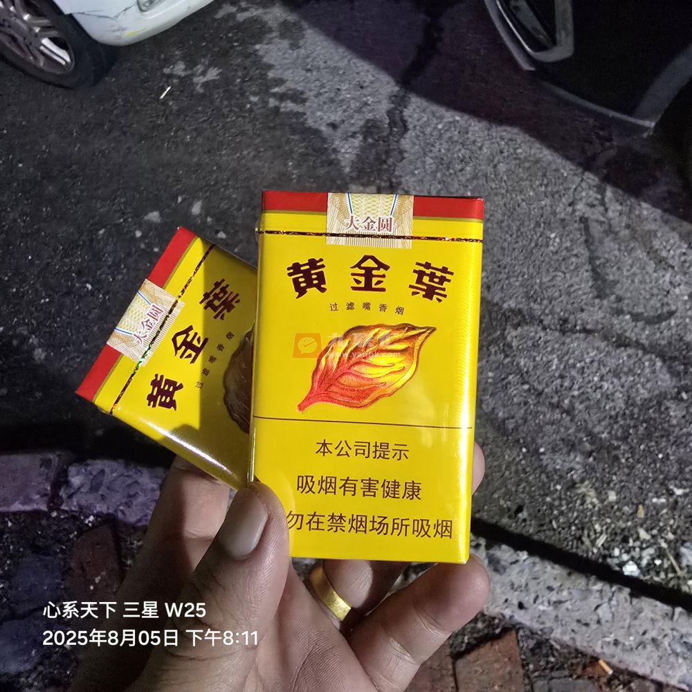 黄金叶(软大金圆)相册 291_66304