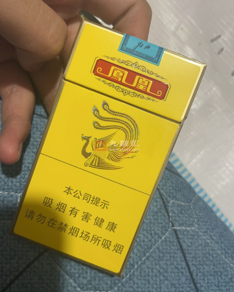 牡丹(凤凰细支)相册 95808_73012