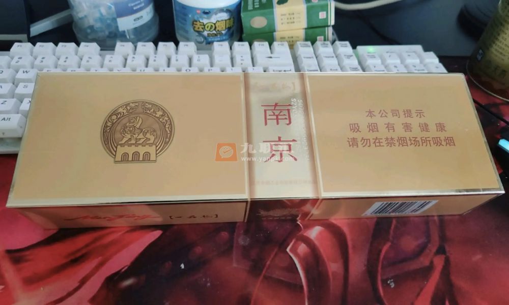 南京(金砂)相册 1110_29794