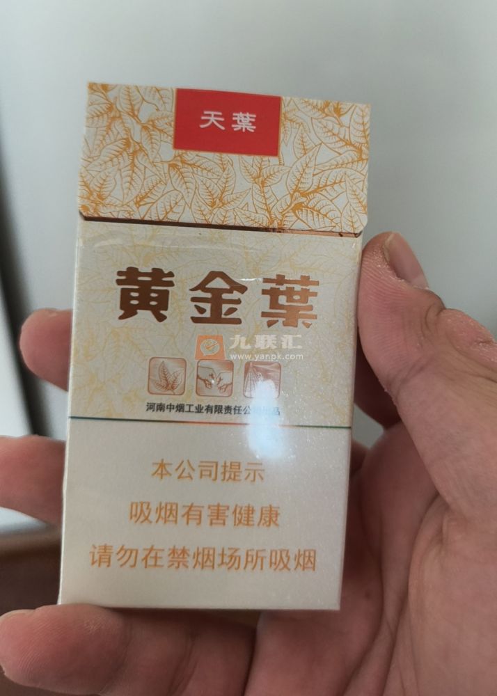 黄金叶(天叶细支)相册 3197_92963