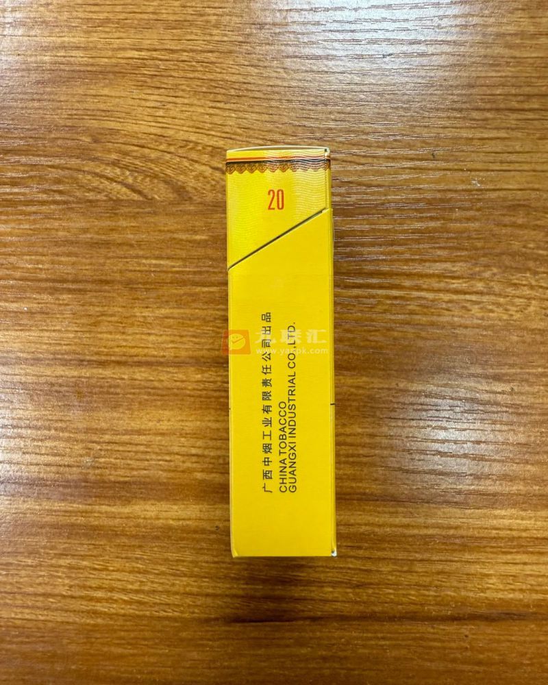 真龙(锦绣东方)相册 93794_94278