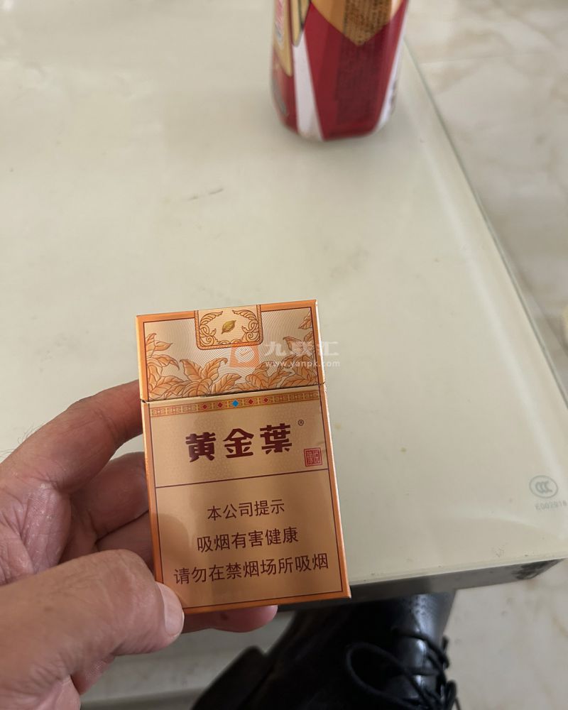 黄金叶(豫悦)相册 115207_13581