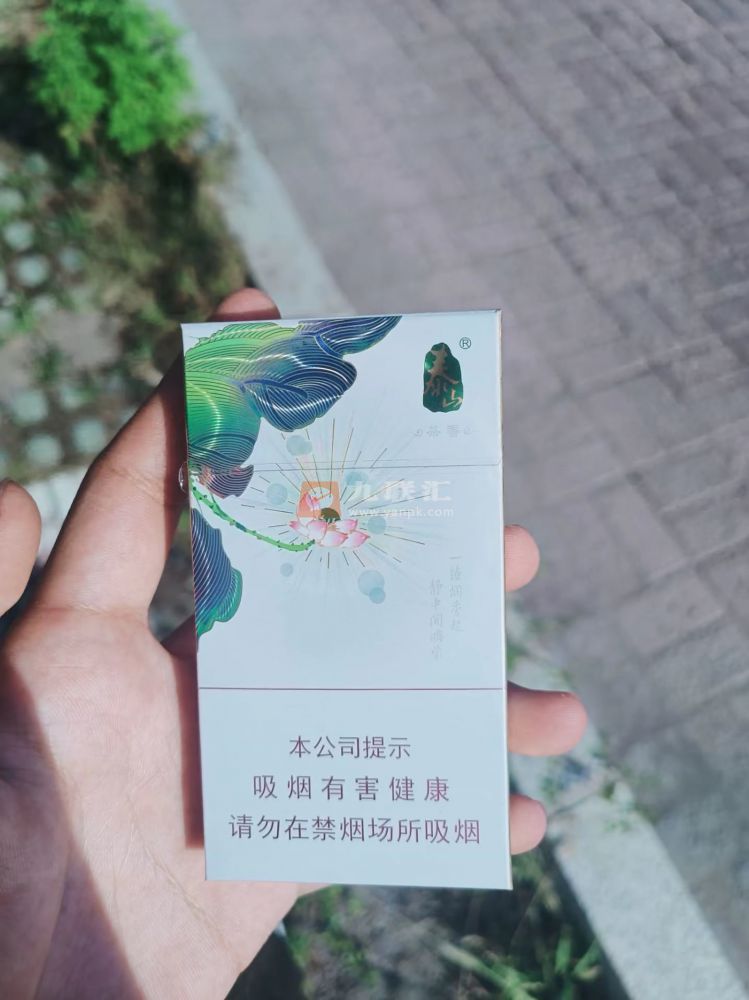 泰山(茉莉香韵)相册 93954_20349