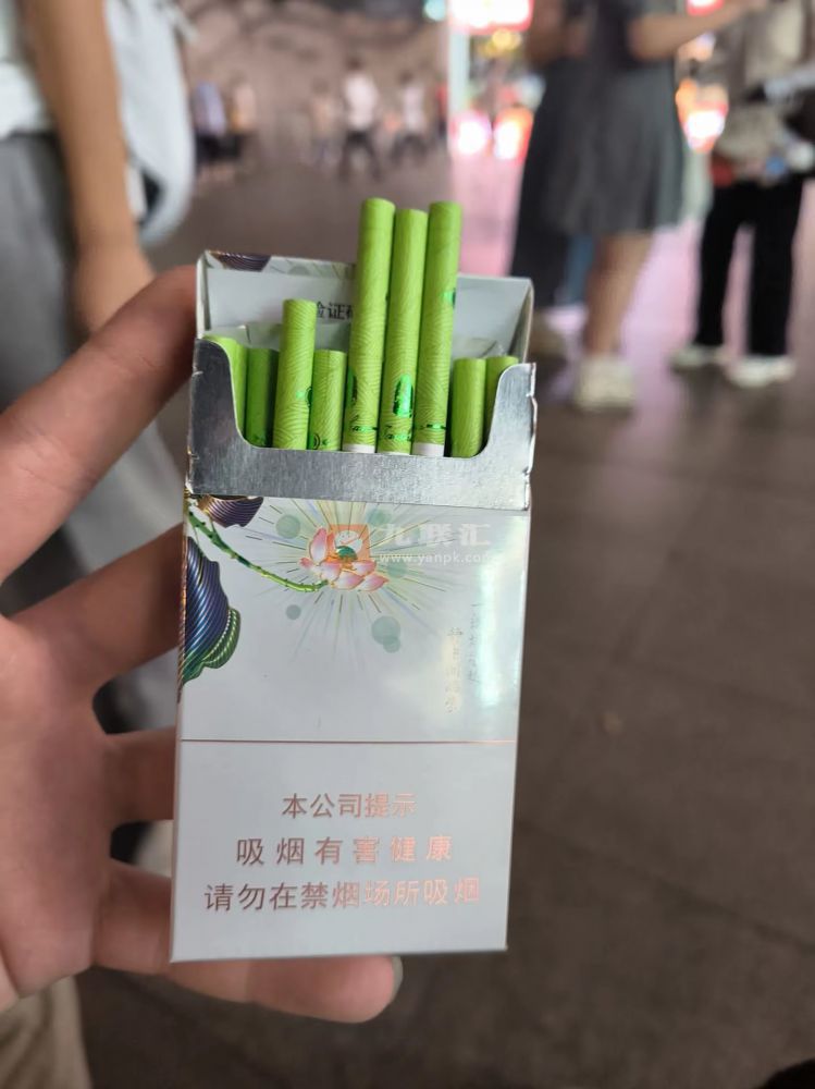 泰山(茉莉香韵)相册 93954_77818