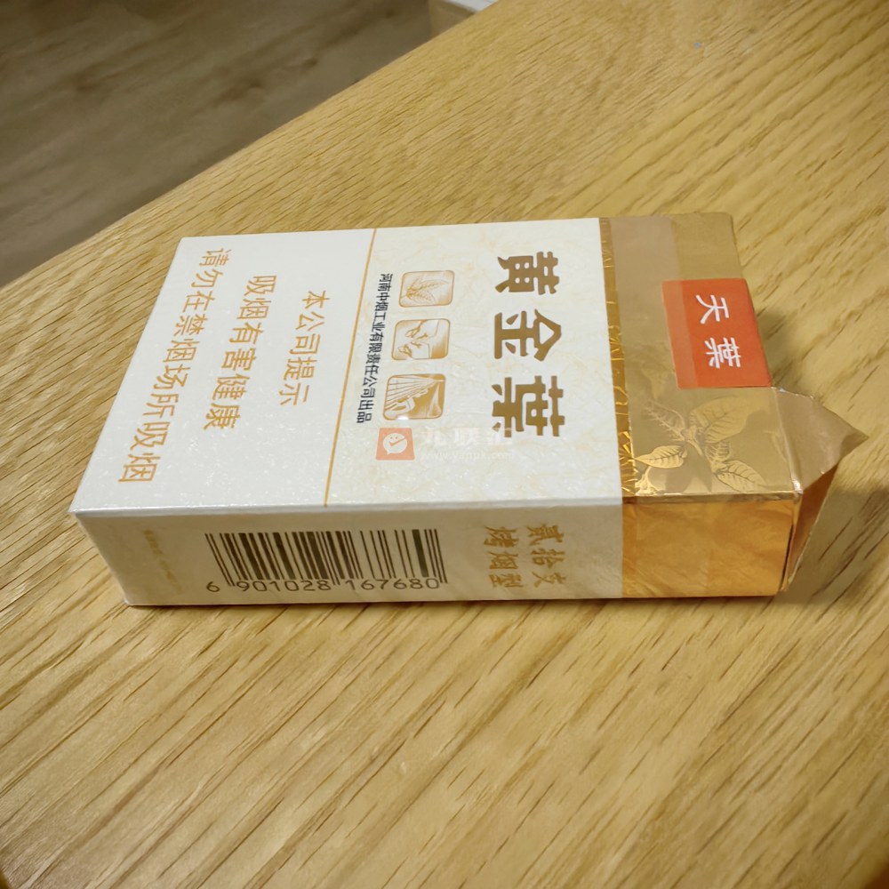 黄金叶(软天叶)相册 106395_35938