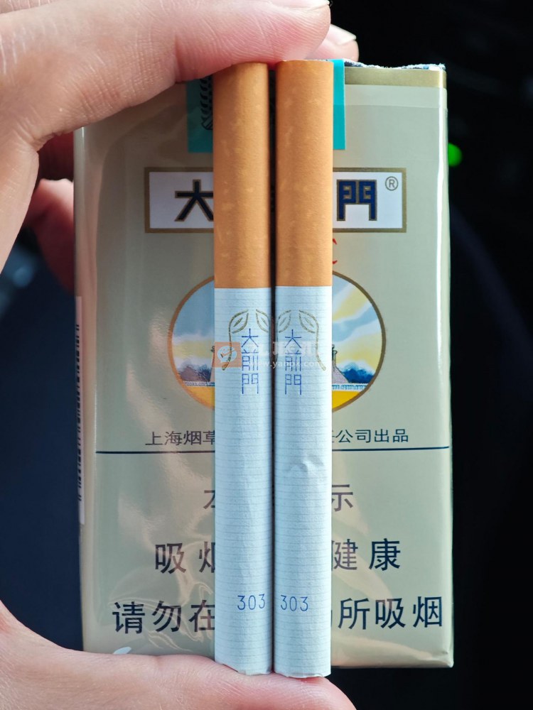 软大前门相册 134_88252