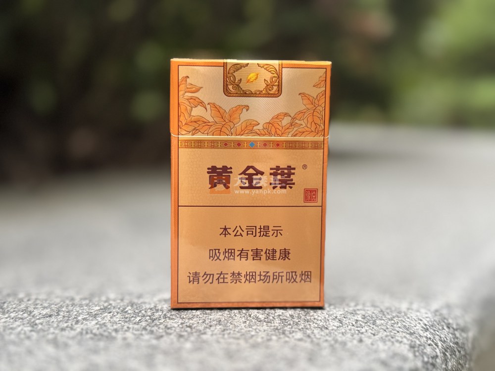 黄金叶(豫悦)相册 115207_13587