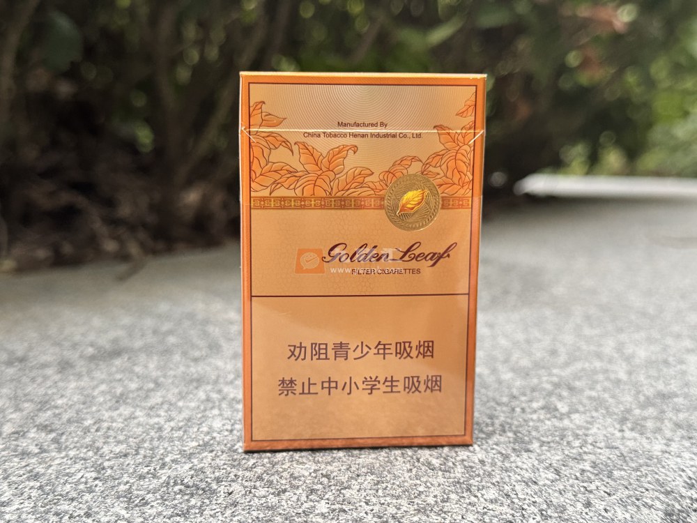 黄金叶(豫悦)相册 115207_80199