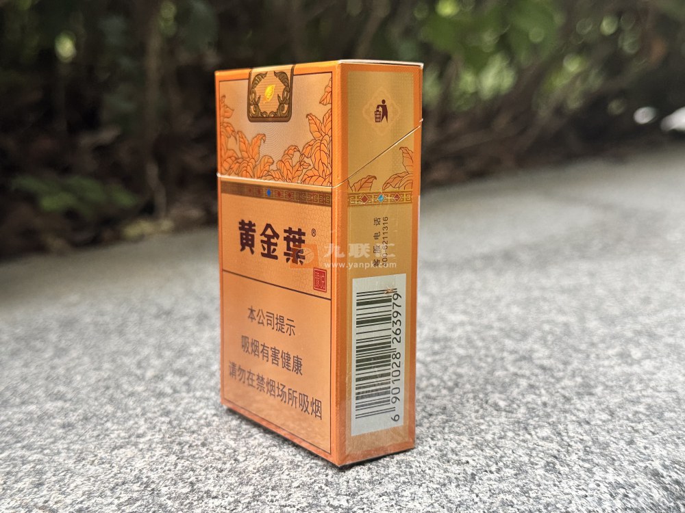 黄金叶(豫悦)相册 115207_74261