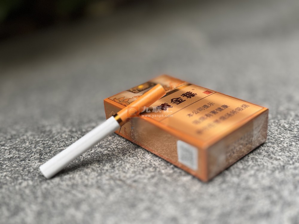 黄金叶(豫悦)相册 115207_76349