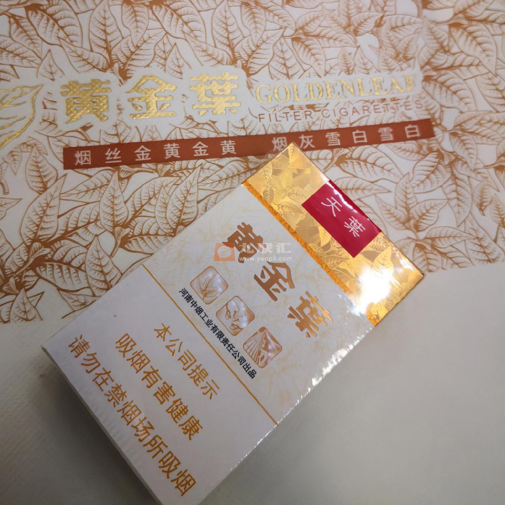 黄金叶(软天叶)相册 106395_87958